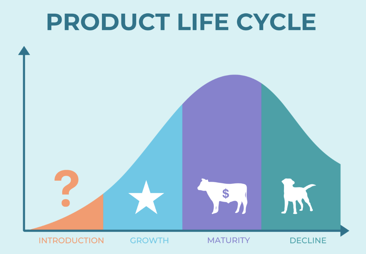 Product Life Cycle